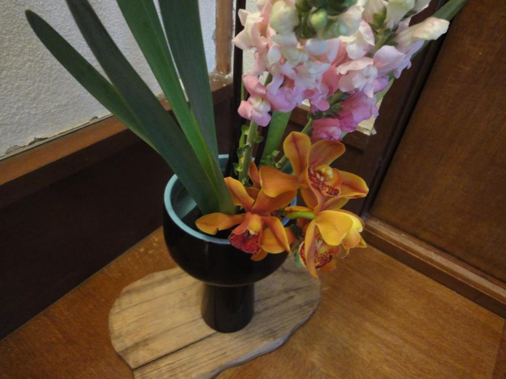 Kinreisou Hotel Hakone Ngoại thất bức ảnh